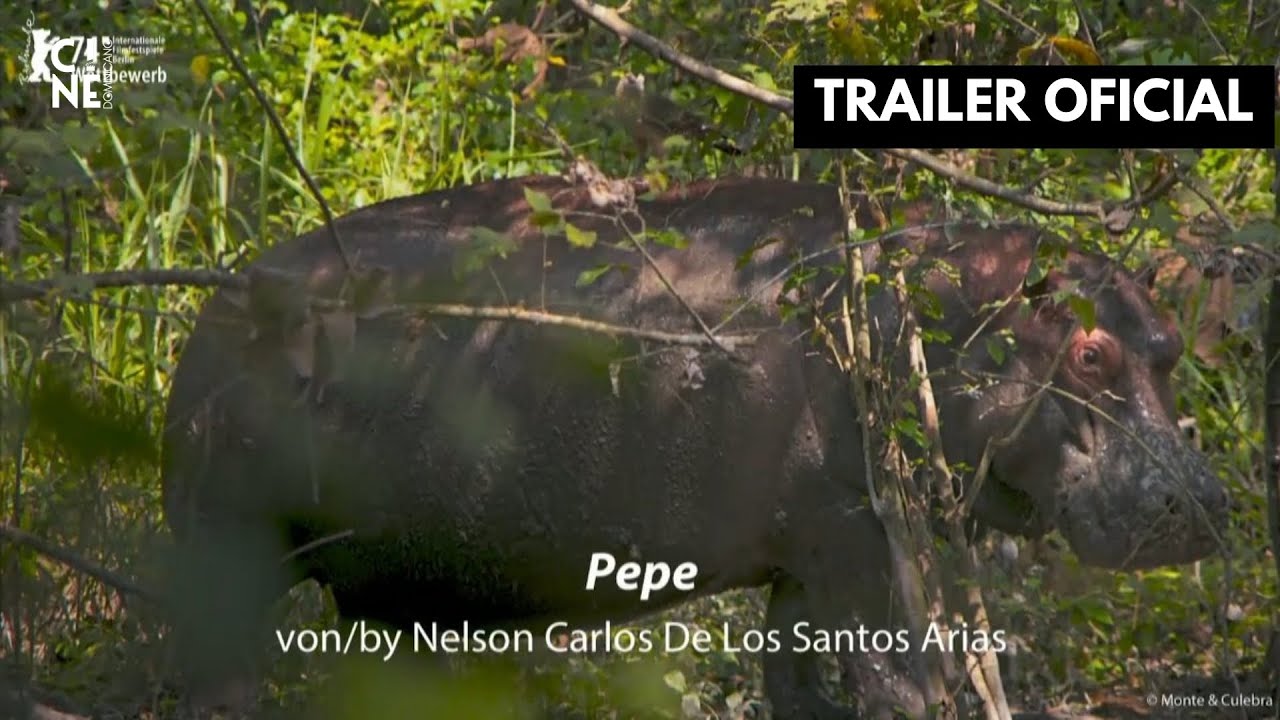 Pepe