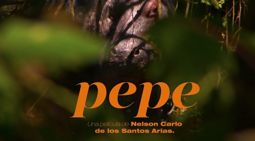 Pepe